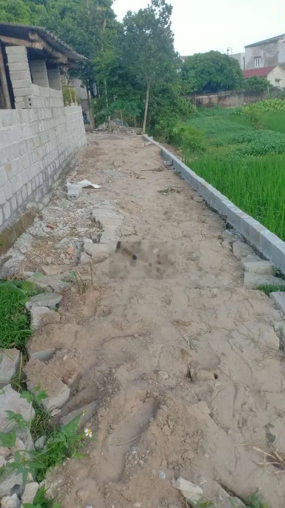 Bán đất sổ đỏ 168,8 xã Lộc An, TP. Nam Định