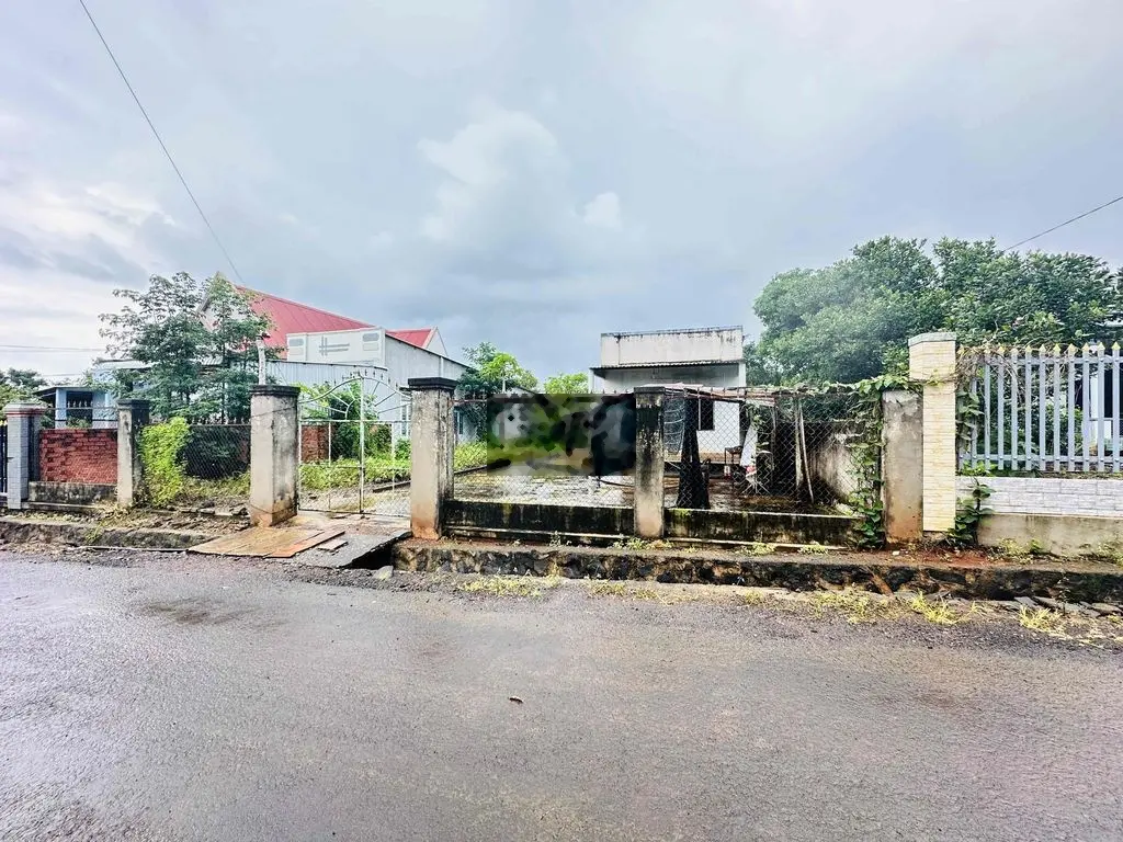 Bán 3400 m2 đất xuyên mộc BRVT