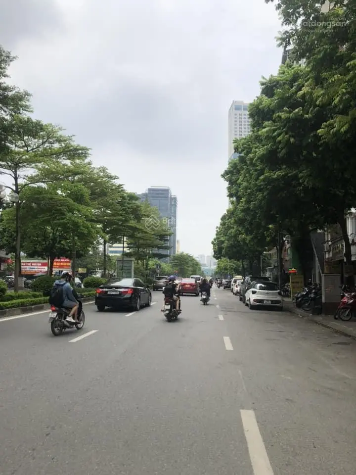 Tôi bán nhà mặt phố Phạm Ngọc Thạch Đặng Văn Ngữ 5T 2 mặt đường lớn giá hơn 24 tỷ
