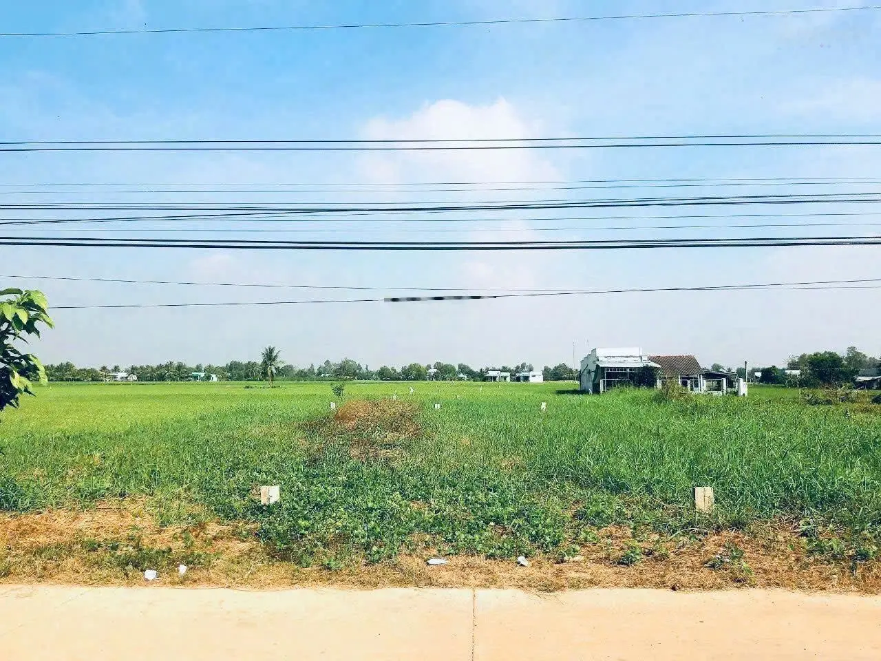 Chính chủ gửi bán 240m2 đất thổ cư, mặt tiền đường xe tải chạy, sổ hồng riêng, giá rẻ