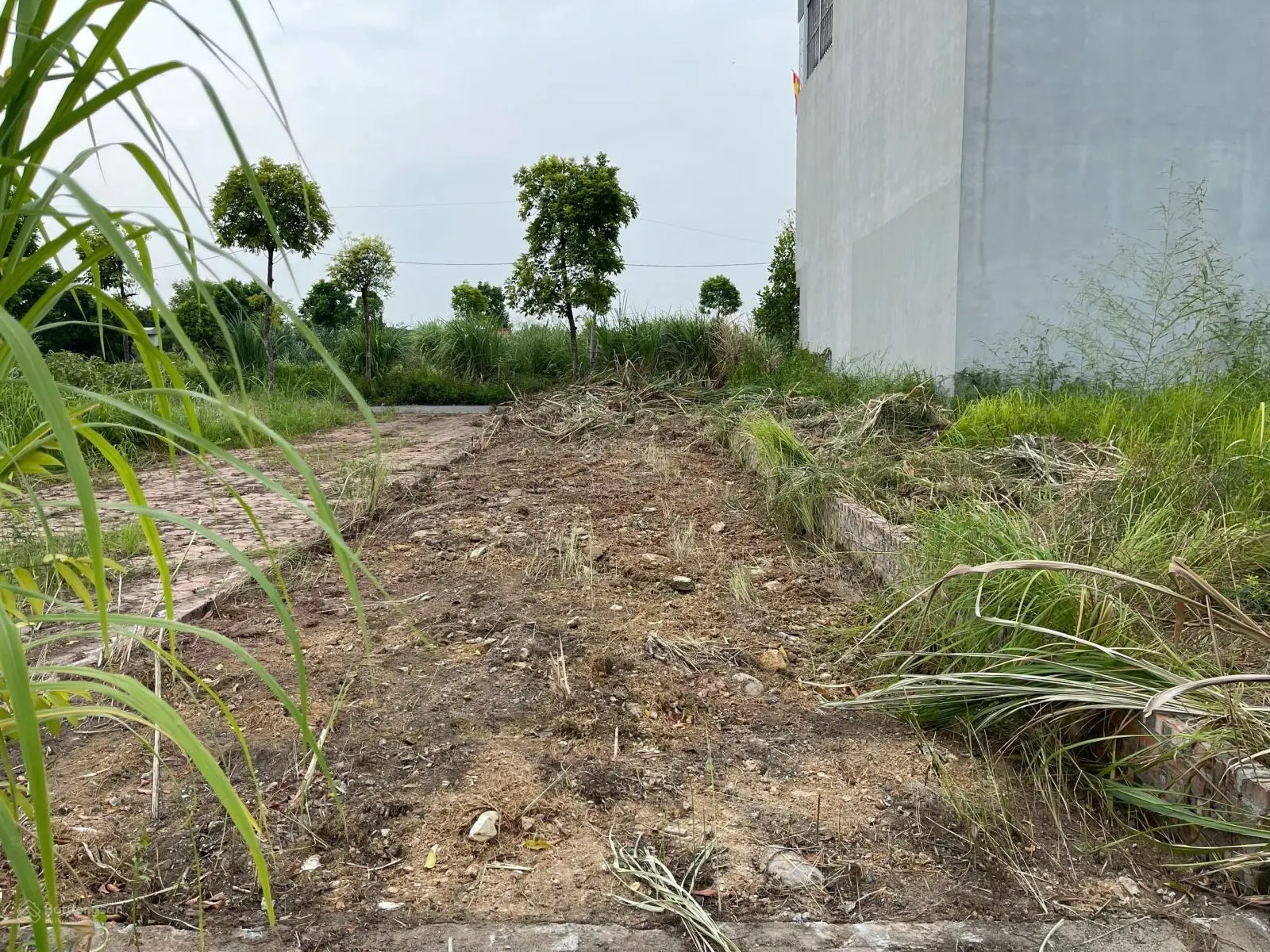 Duy nhất lô đất nhỏ xinh, DT 46m2, MT 3,87m, lô góc khe thoáng, view công viên vườn hoa, gần 3.5