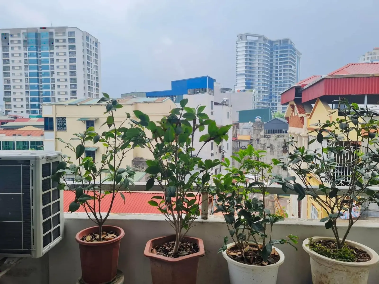 Bán Nhà Mặt Ngõ Đại Cát Gần Tây Thăng Long, Ô Tô Đỗ Cửa, Giá Tốt!