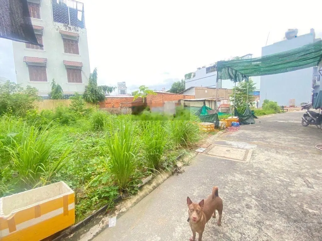 Bán đất Q2, gần chợ chiều Nguyễn Thị Định, 72m2, nhỉnh 4 tỷ
