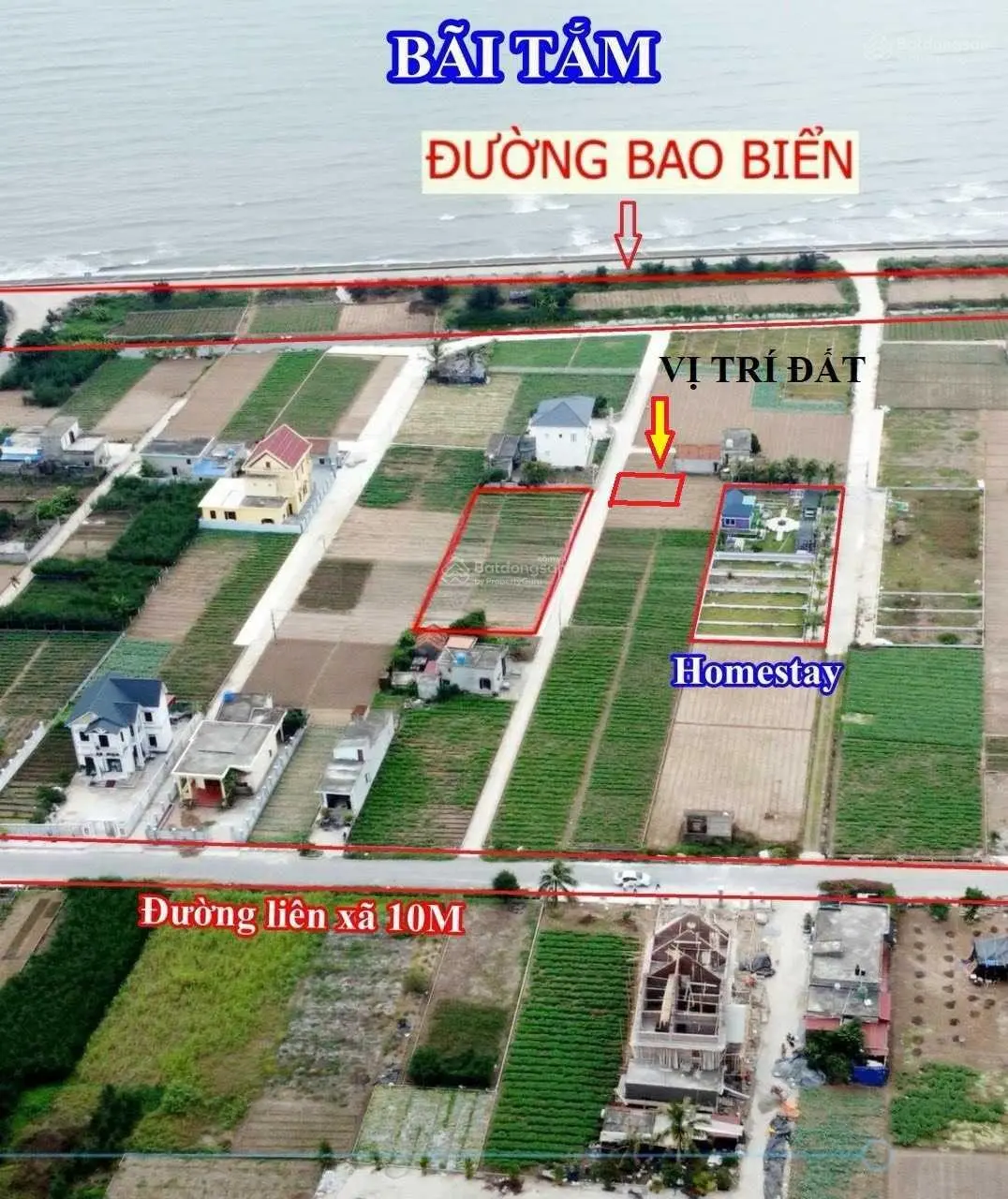 Chính chủ cần bán gấp 2 lô đất view biển Quất Lâm, Nam Định