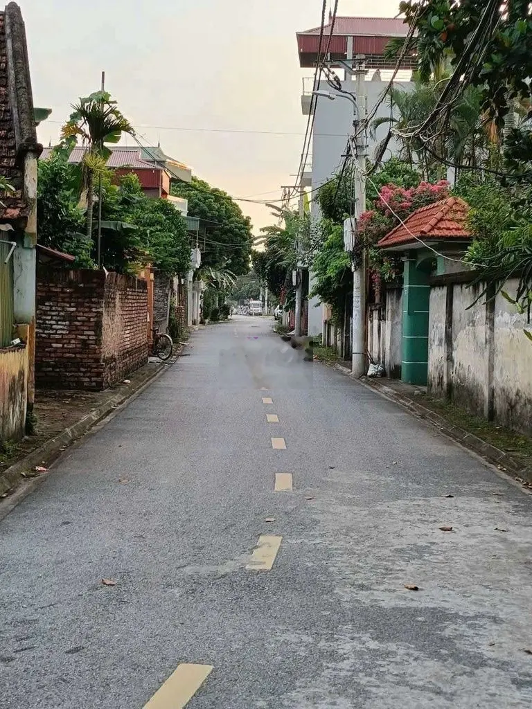 Bán đất tại Ỷ Lan, Đặng Xá, Gia Lâm. Diện tích 48m2, giá 2,1 tỷ
