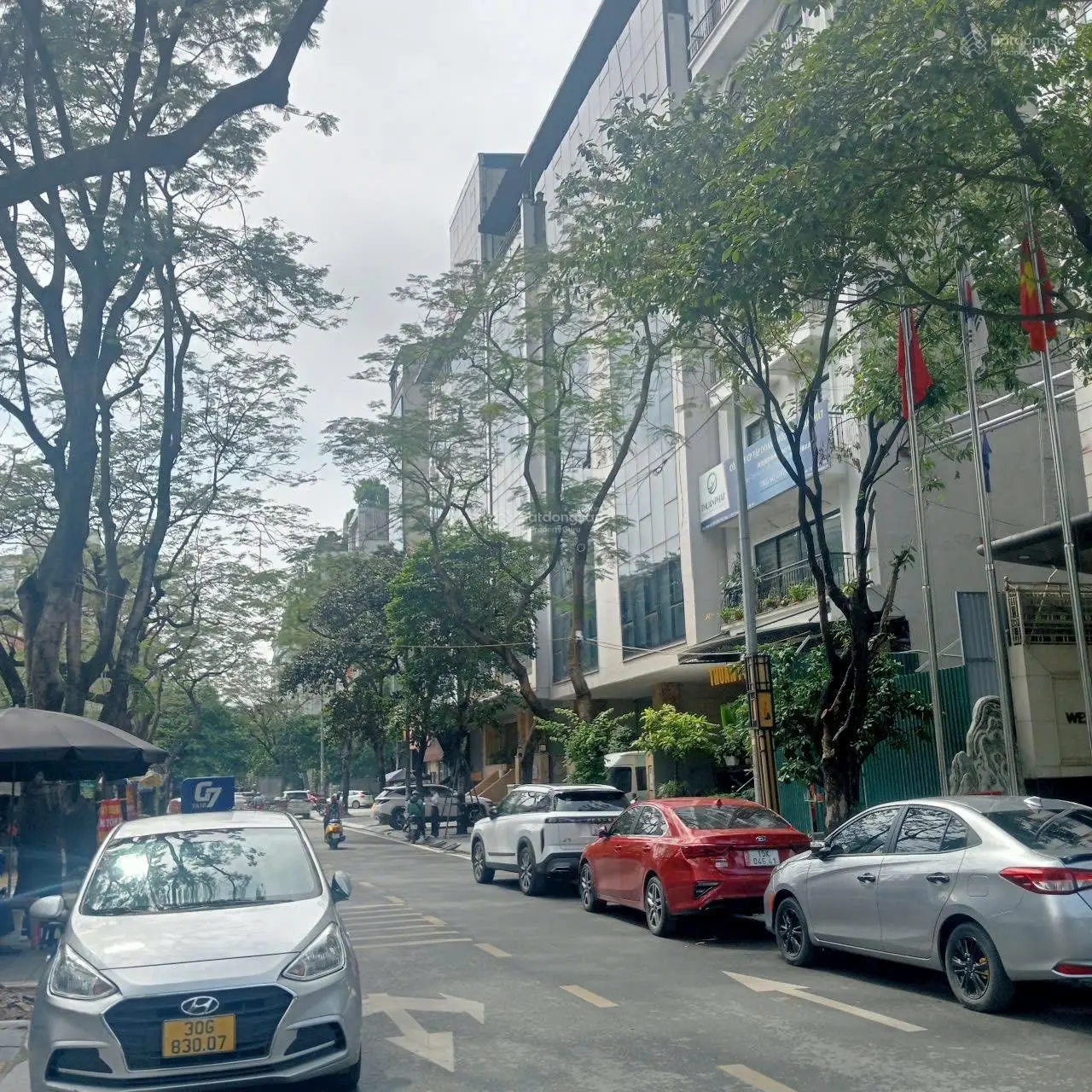 Bán nhà đất P. Dịch Vọng Hậu, Trần Thái Tông, DT 147 m2, MT: 8,5m xây full đất cao. LH 0984250719