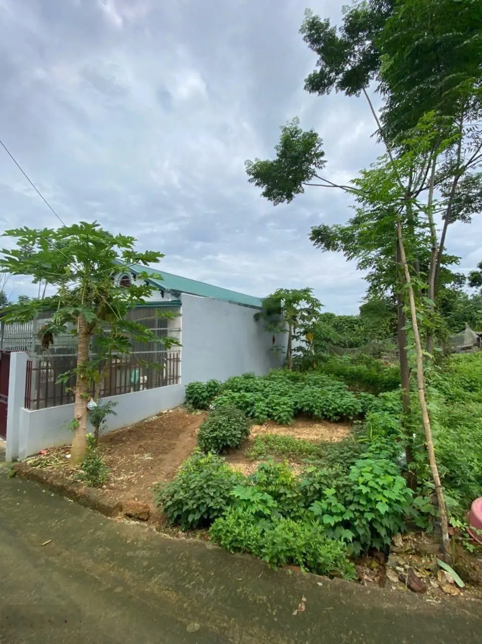 Cần bán lô đất S=121m2 (6,25m x 6,55m) giá đầu tư, đất vuông vắn, cách chợ, trường học (150m)