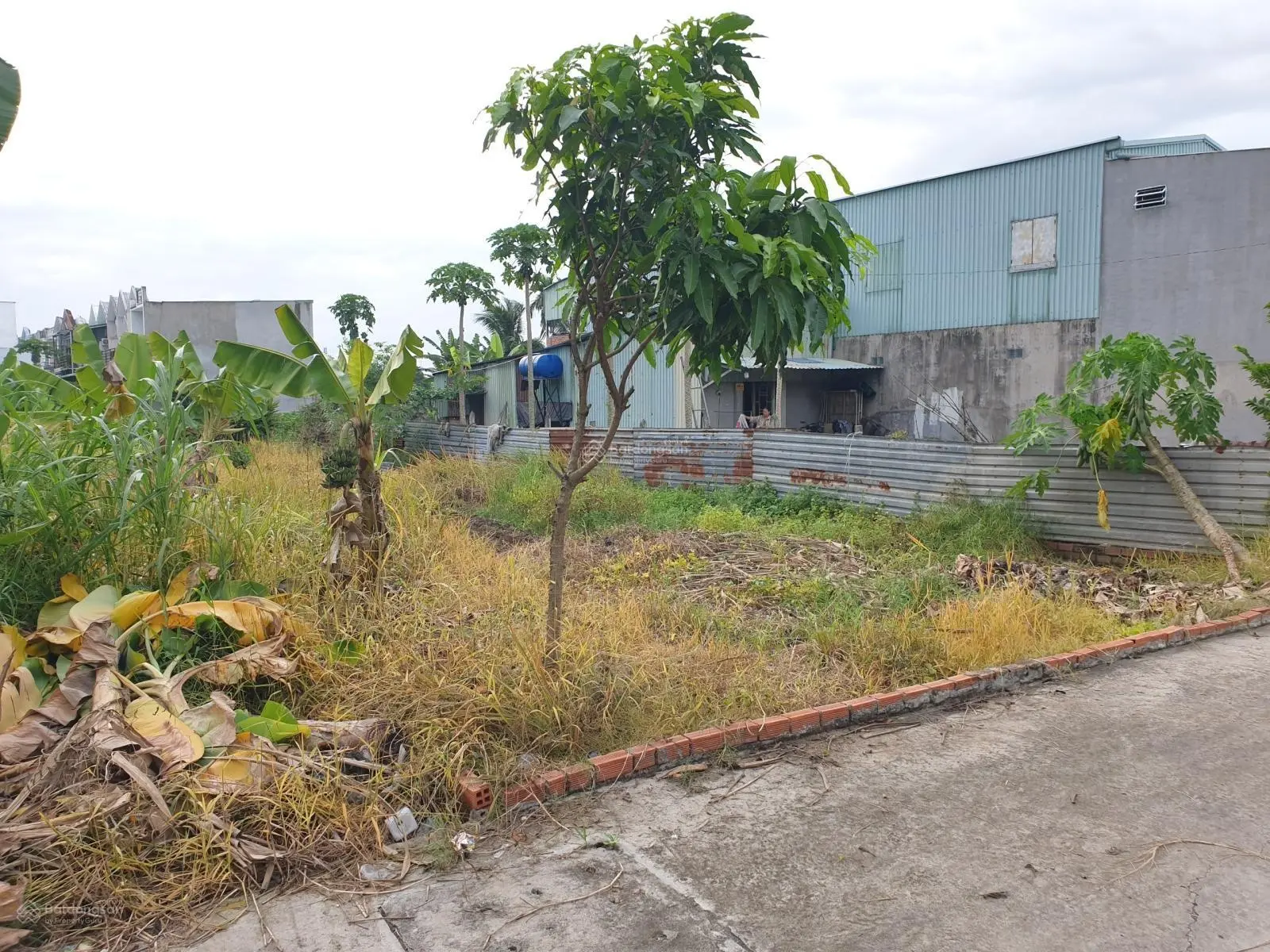 Bán đất thổ cư hẻm ôtô, cách đường Bình Mỹ, Củ Chi, 300m, 275m2 (8.5x31m), dân cư hiện hữu đông đúc
