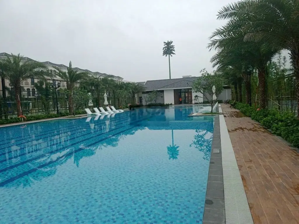 Chính chủ bán căn Hải Âu Vinhomes Ocean Park 2