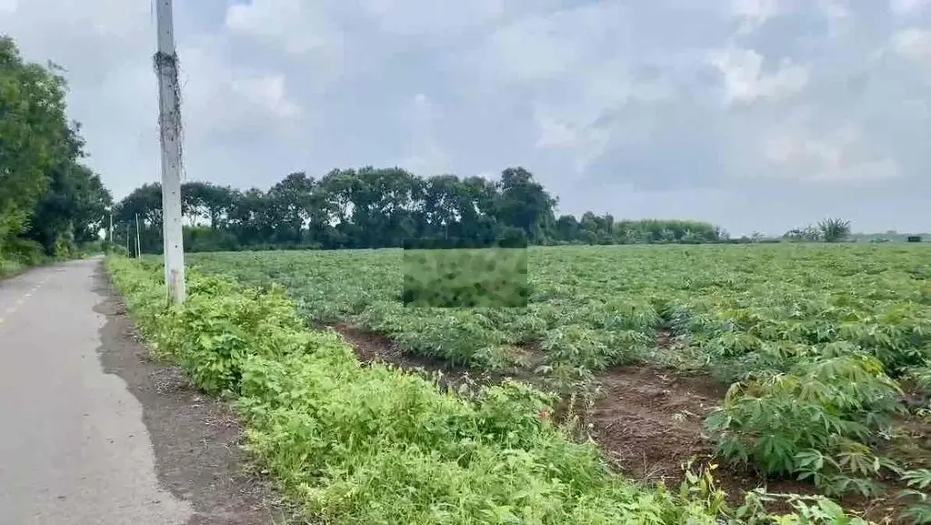 ⚡️HƠN 1.300m2 ĐẤT MẶT TIỀN ĐẸP TẠI BÀ RỊA - VŨNG TÀU⚡️