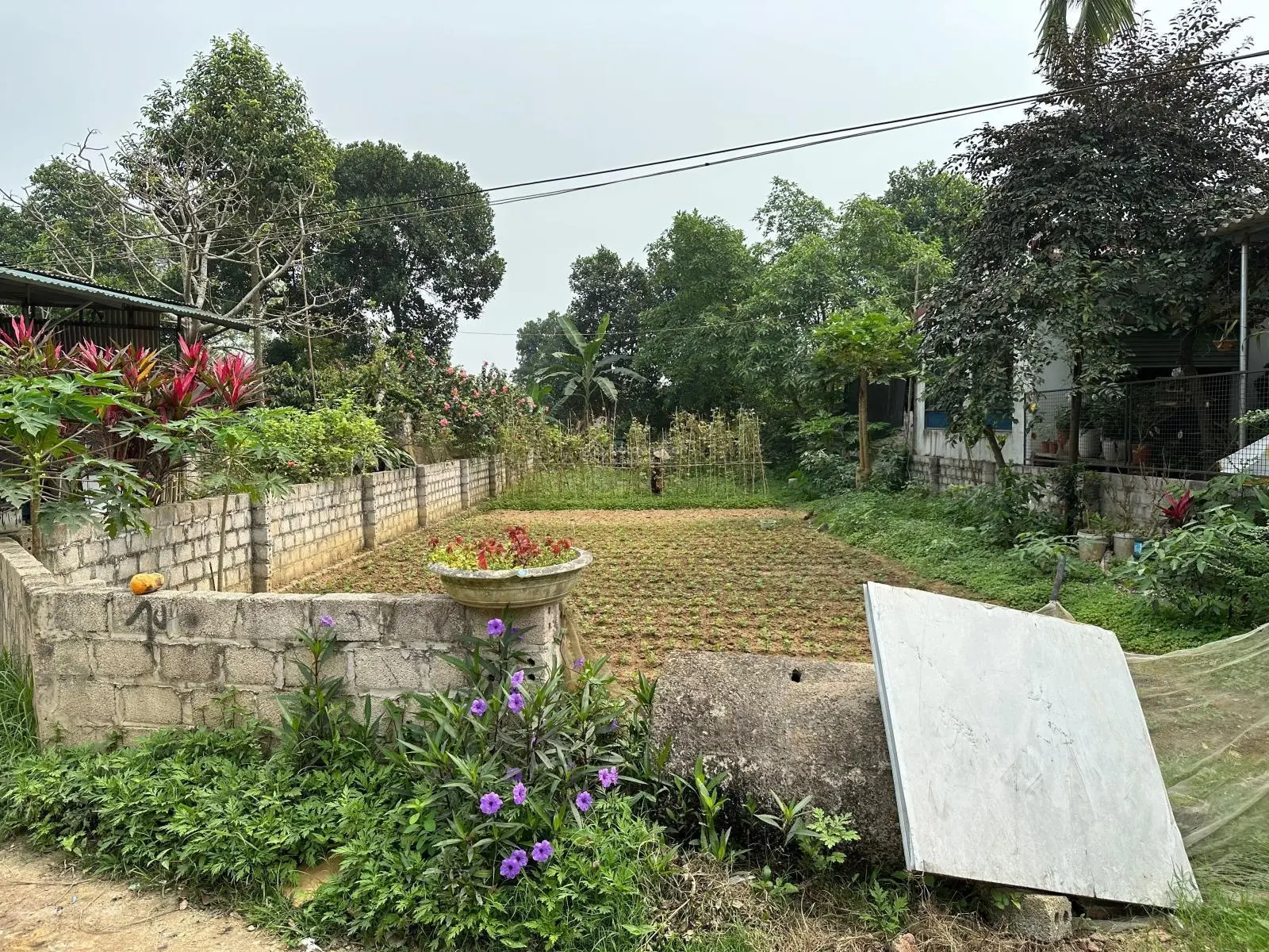 Cần bán gấp lô đất 299m2 tại Thuỷ Xuân Tiên giá chỉ vài triệu mét vuông