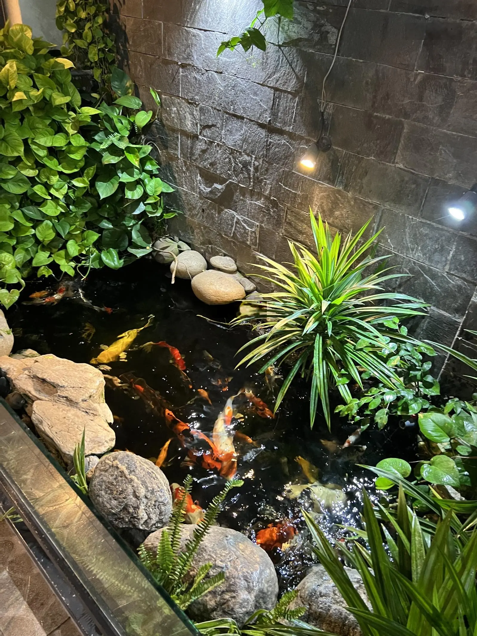 Bán nhà chính chủ tâm huyết để về quê