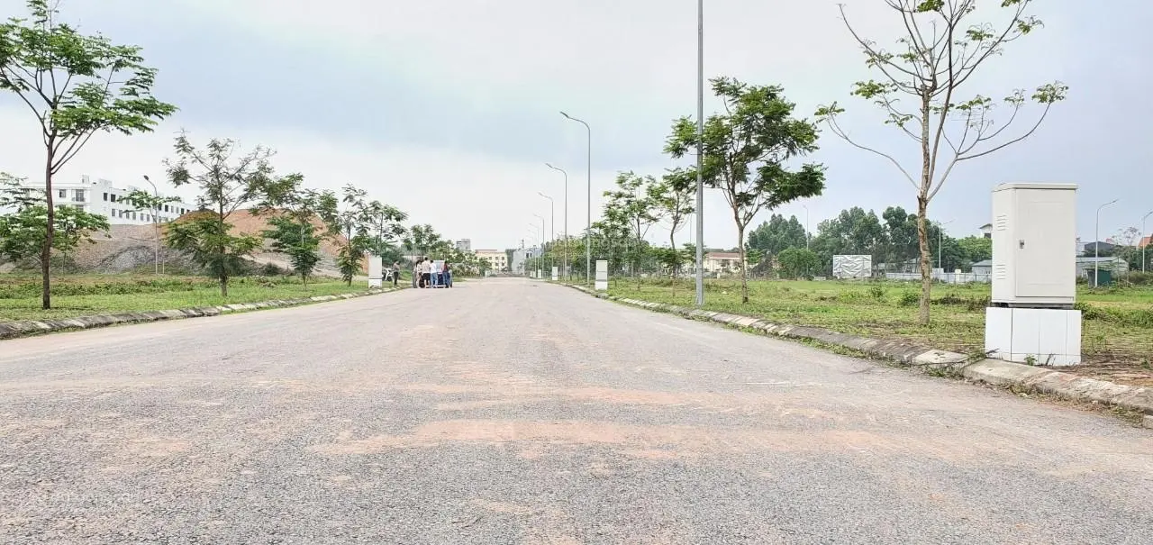 Bán lô OM9 Khu đô thị Lam Sơn Nexus Thành phố Bắc Giang, giá 2,4xx tặng ngay 4 chỉ vàng, không lỗi
