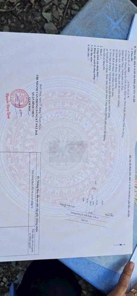 NỀN BIỆT THỰ GIÁ RẺ,CÓ SẲN VƯỜN CÂY ĂN TRÁI TRÊN ĐÁT