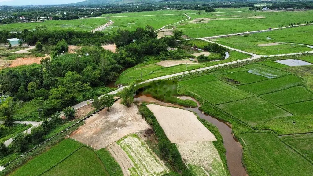 Chuyển nhượng đất Màu