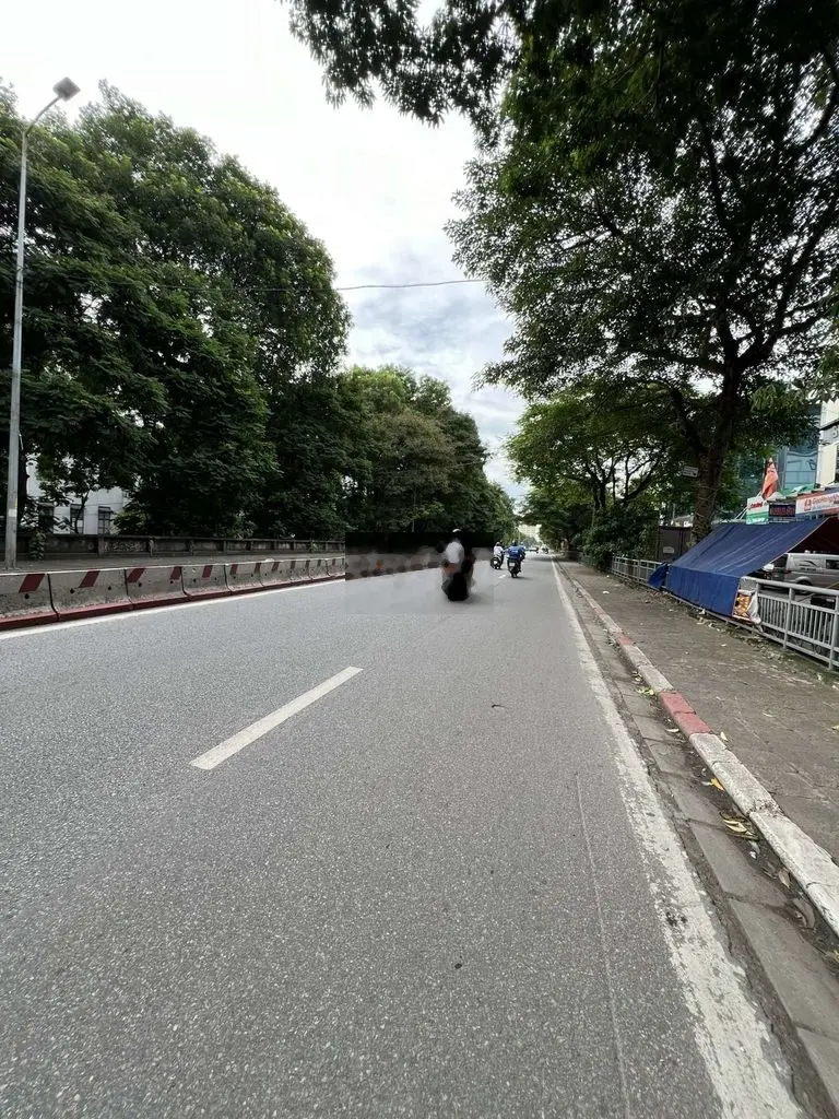 ĐẤT PHÂN LÔ BÀN CỜ BẠCH ĐẰNG, VỈA HÈ, NGÕ THÔNG, GIÁ CẢ TL