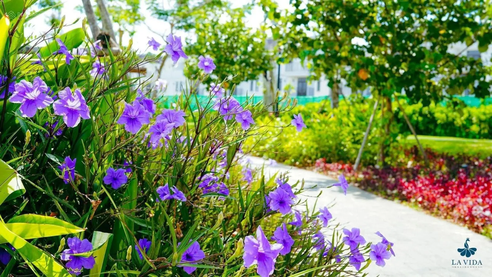 Cập nhật hàng ngộp lỗ nhà phố, biệt thự giá tốt nhất dự án La Vida Residences Vũng Tàu