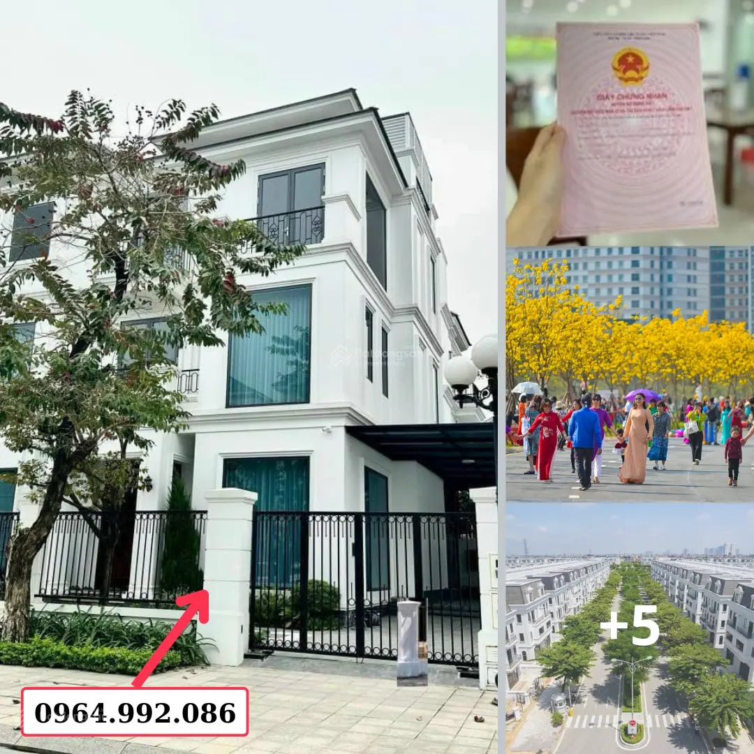 Bán Gấp Biệt Thự An Quý Nam Cường 180m2, Nhà Mới. Giá từ 35 tỷ. Đầu tư tốt