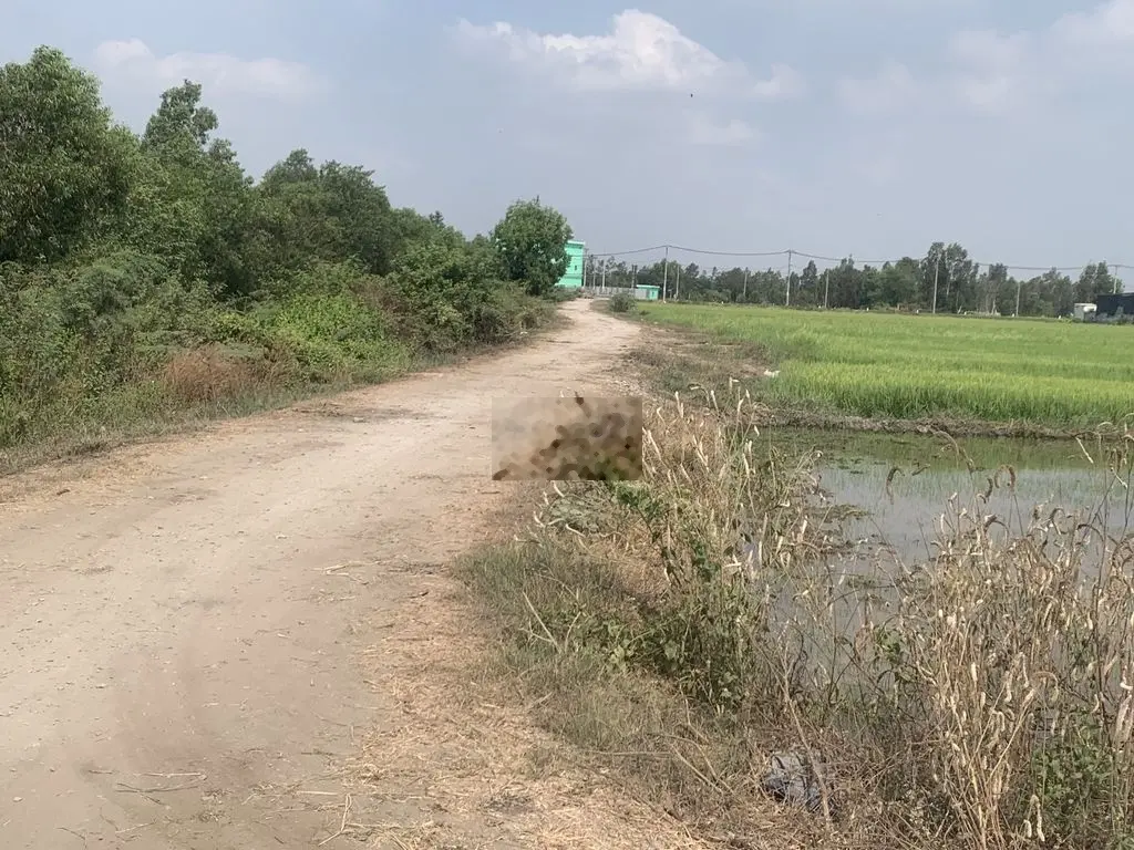 Đất ngộp bán gấp lô đất vườn 500m2 ngay Phước Thạnh, Củ Chi. Giá 750tr