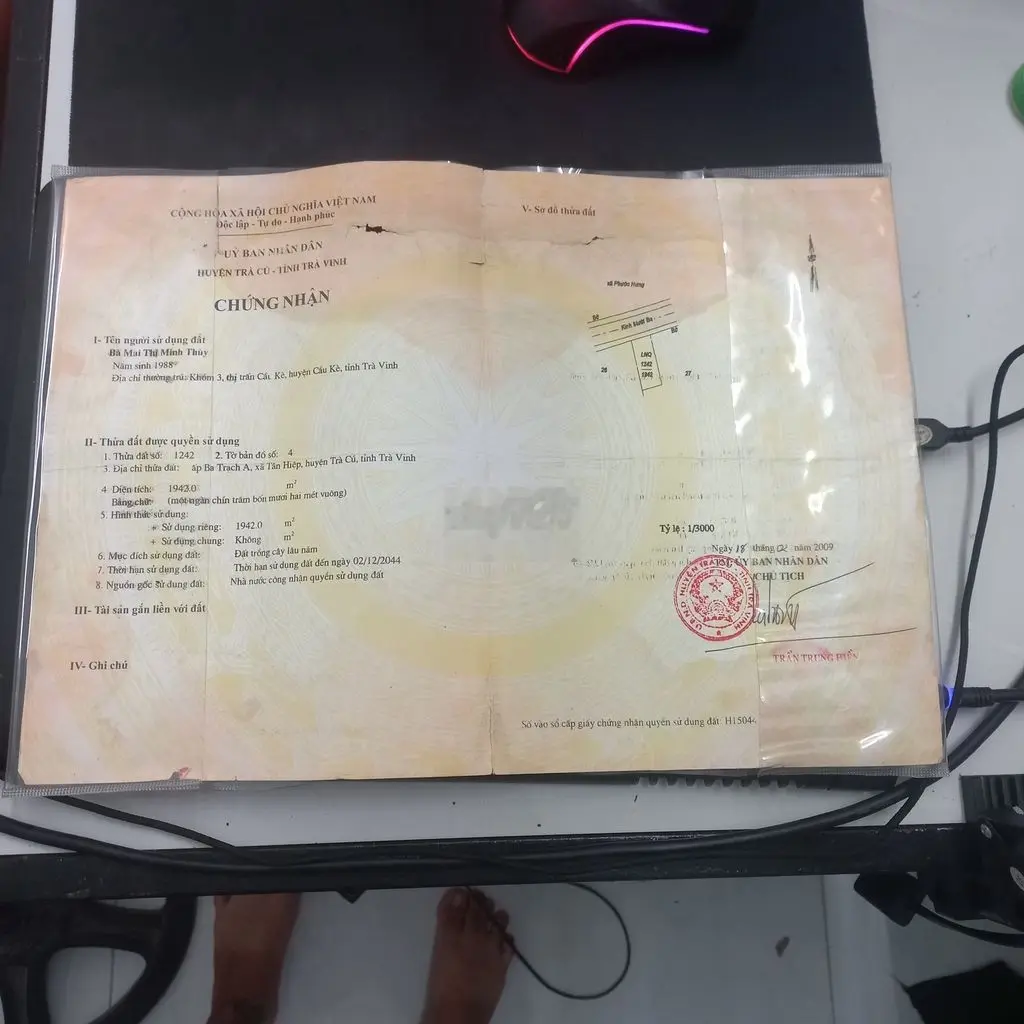 Đất trồng cây lâu năm có nhà cấp 4