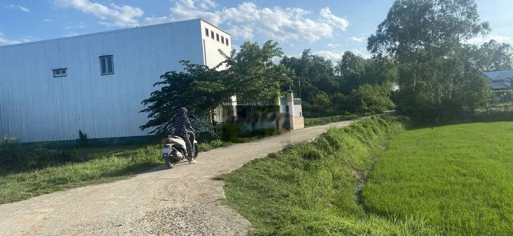 🔥🔥🔥 Mình cần bán gấp lô đất đầu tư siêu lời thái sơn