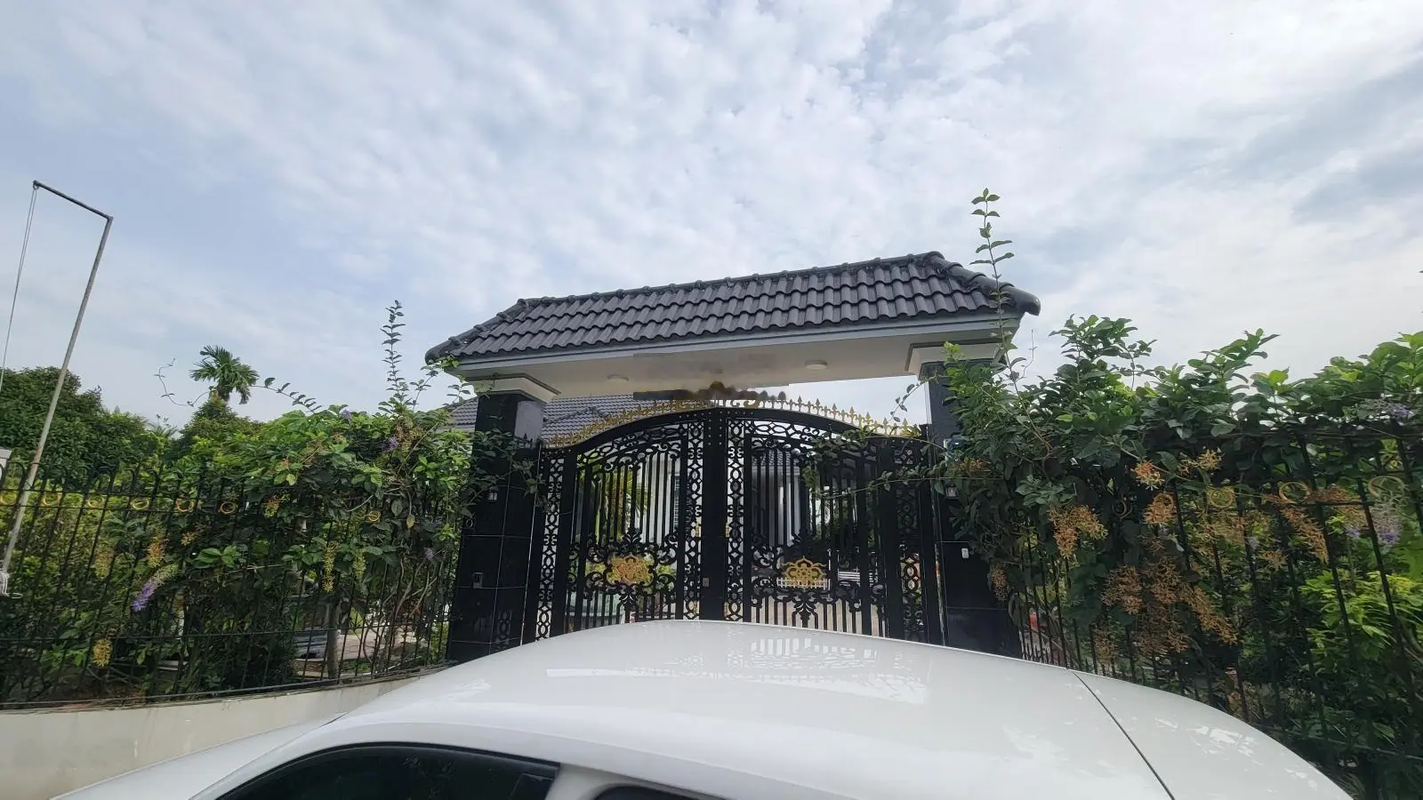 Bán đất vườn mặt tiền Đ. An Sơn 38 giá 3,5 tỷ. DT 252m2, ngang 10m. Giá rẻ so với đất chung quanh