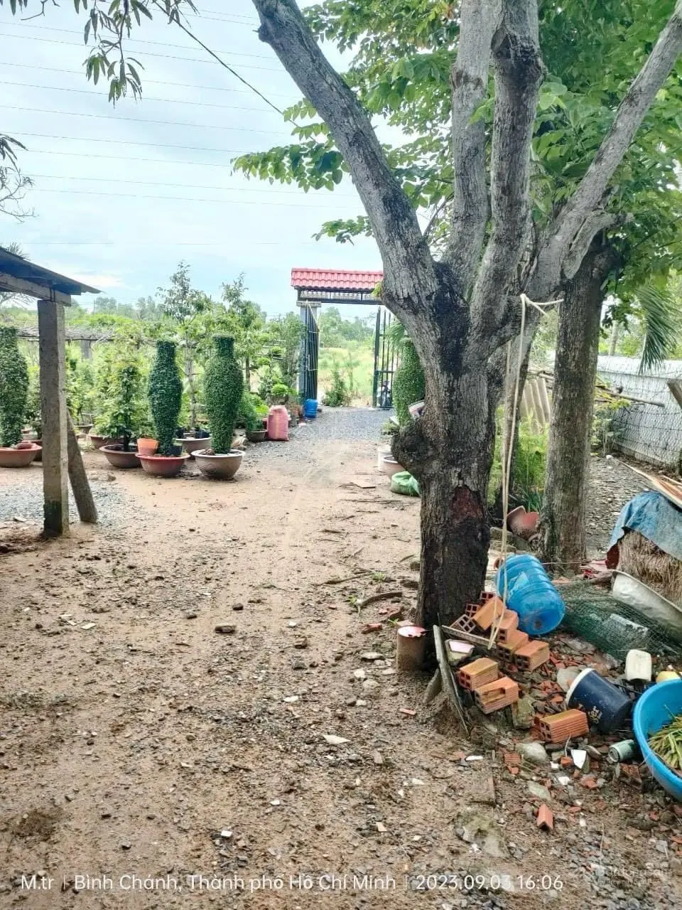 thị trấn tân túc 800m2 có 5căn nhà trên đất đường xe hơi