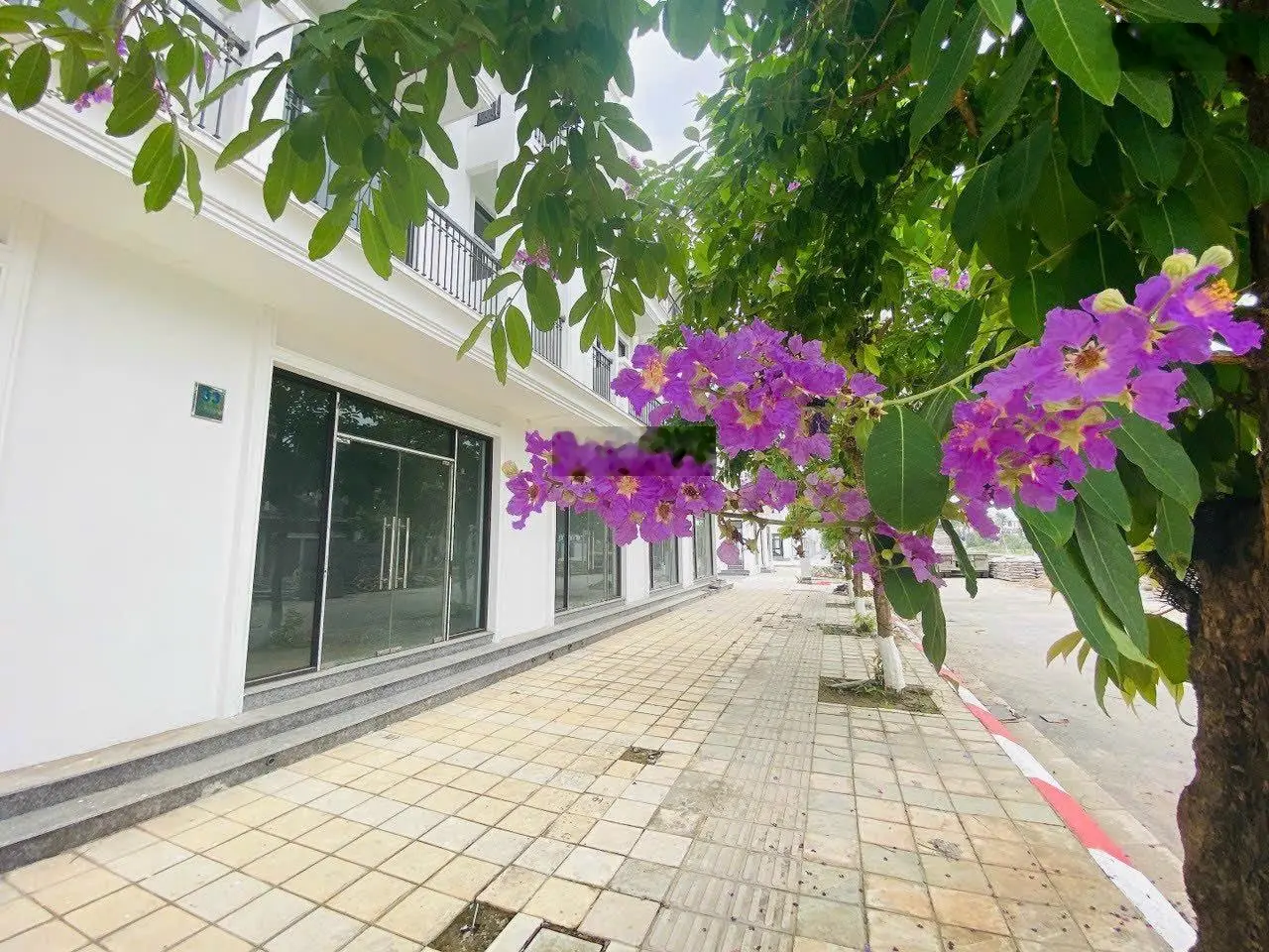 Căn nhà vườn liền kề 135m2, mặt đường 24m, đi 50m là đến công viên TP 20 hecta, chỉ 6x triệu/m2.