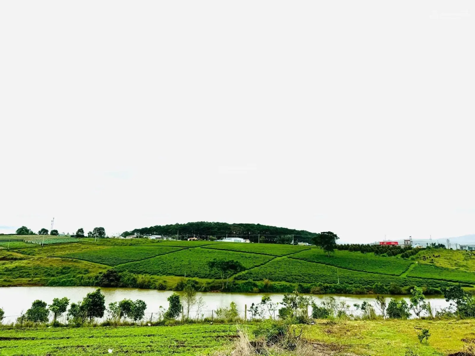 Đất nền Di Linh view hồ đồi chè