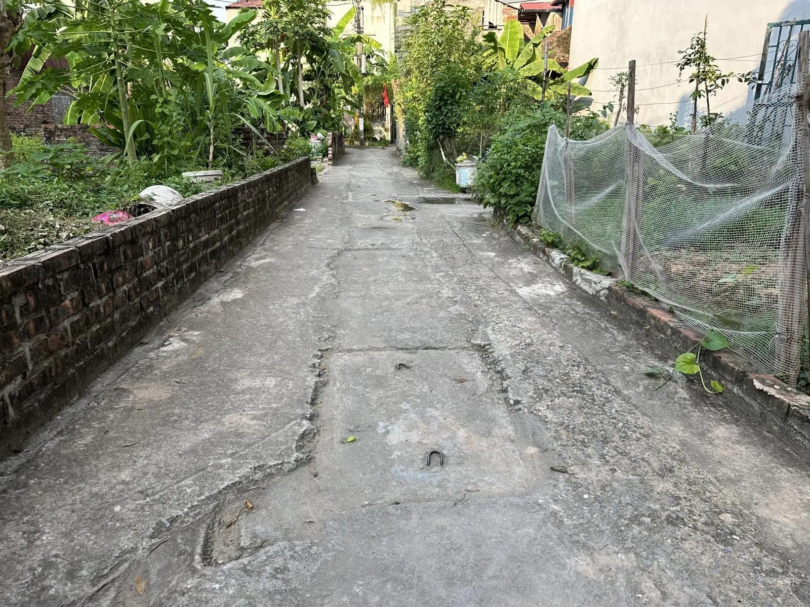Bán 47m2 đất đẹp Lê Xá - Mai Lâm - Đông Anh, giáp Vinhomes Cổ Loa, ngõ thông morning, chỉ hơn 3 tỷ.
