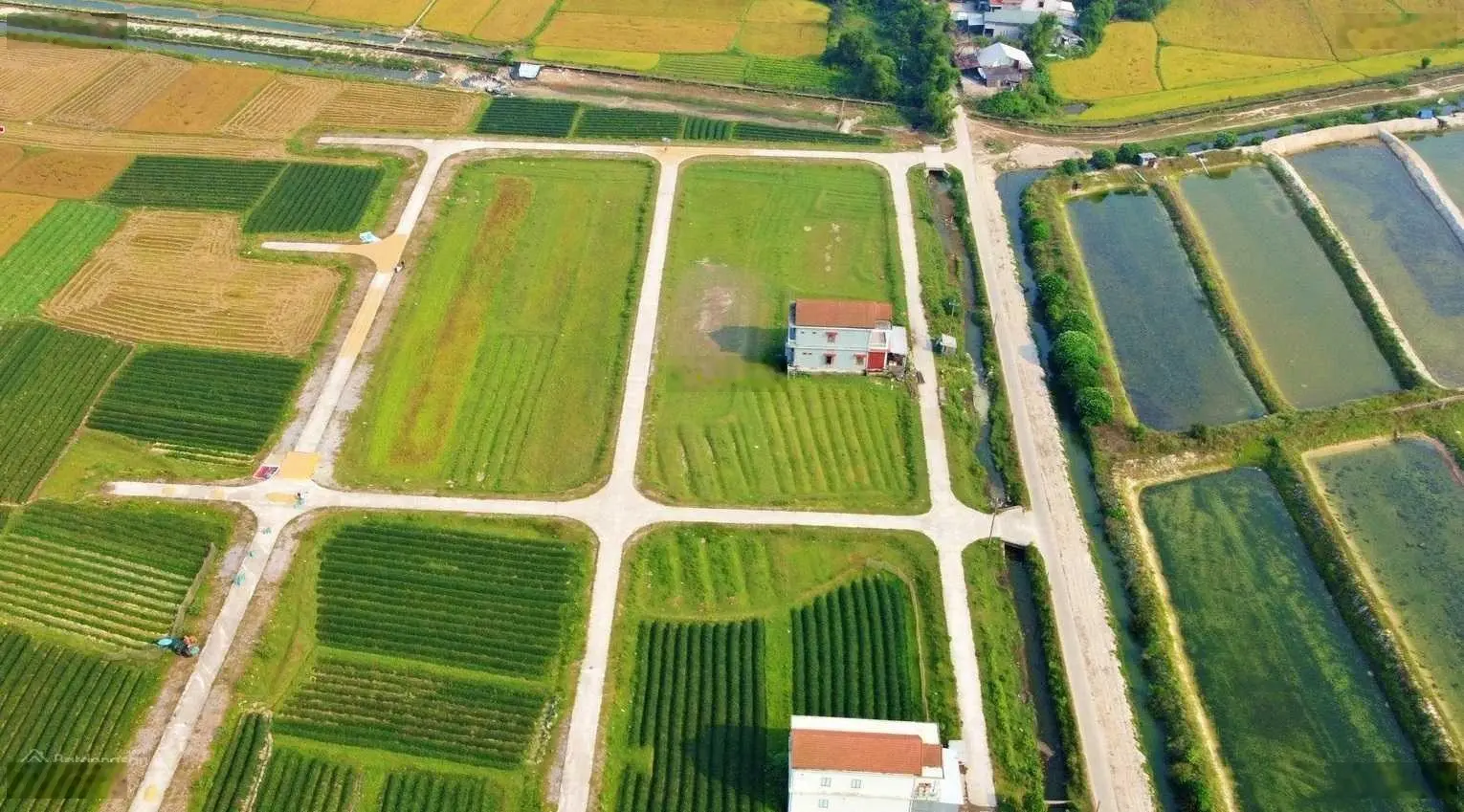Khu quy hoạch Xuân Ổ 152,5m2 - Giá chỉ từ 5xx triệu (x mầm non) - Cơ hội đầu tư tiềm năng