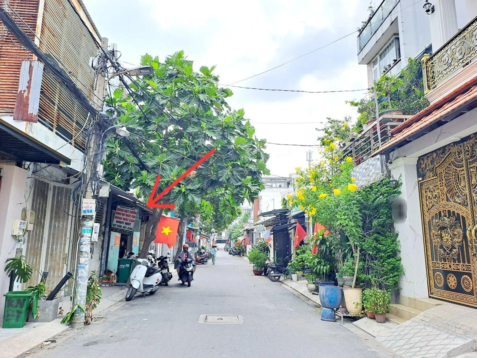 Chính chủ bán gấp nhà ngay aeon tân phú 123m2 giá rẻ - ngang 6.01m nở hậu 6.05m