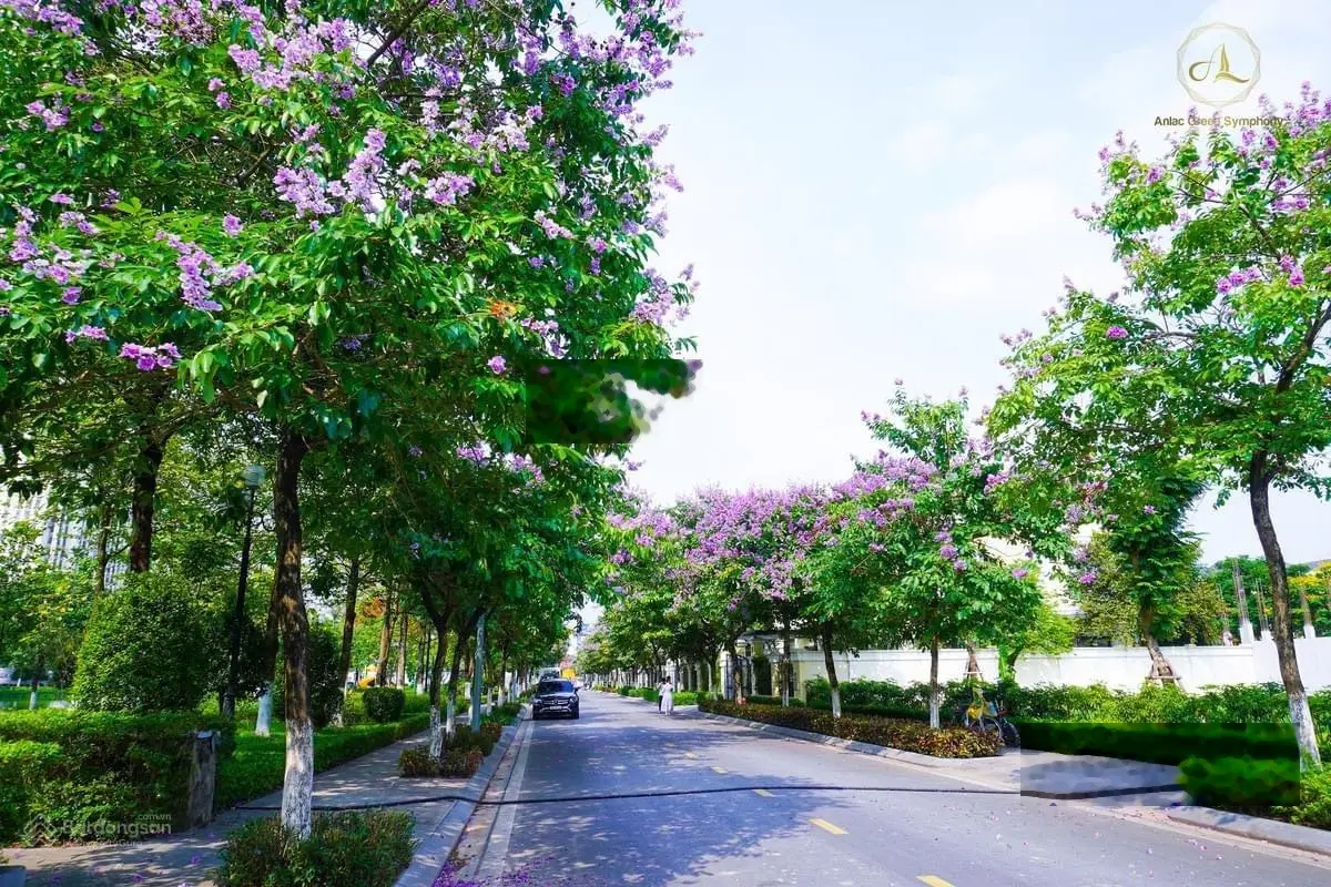 Bán biệt thự đơn lập giá tốt nhất thị trường , đô thị đồng bộ đẳng cấp 279m2 cách mỹ đình 3km