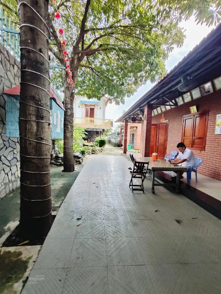 Không thể rẻ hơn, trang trại 3.461m2, đường nhựa 7m, Linh Xuân, Thủ Đức, chỉ 23,5 tỷ