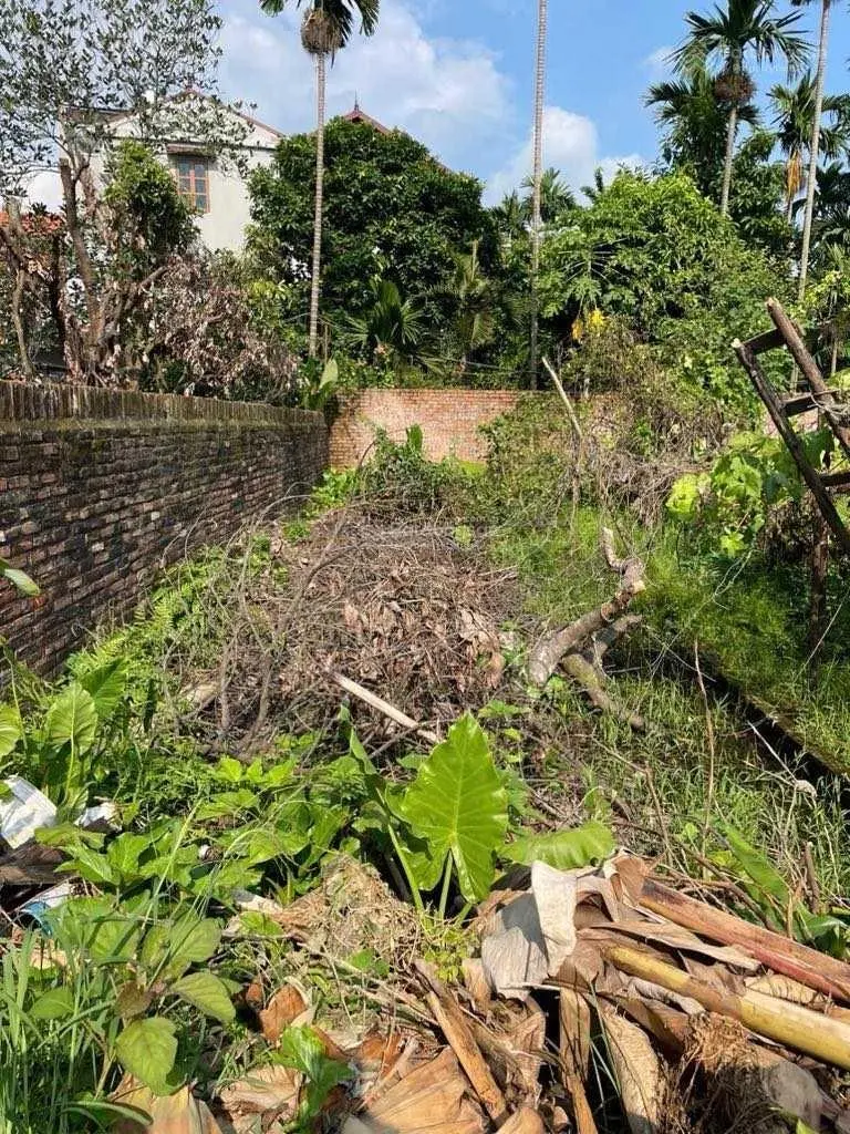 Bán đất Dương Quang Gia Lâm - siêu hiếm - phân khúc hữu hạn ô tô con đỗ giá rẻ nhất khu vực đầu tư