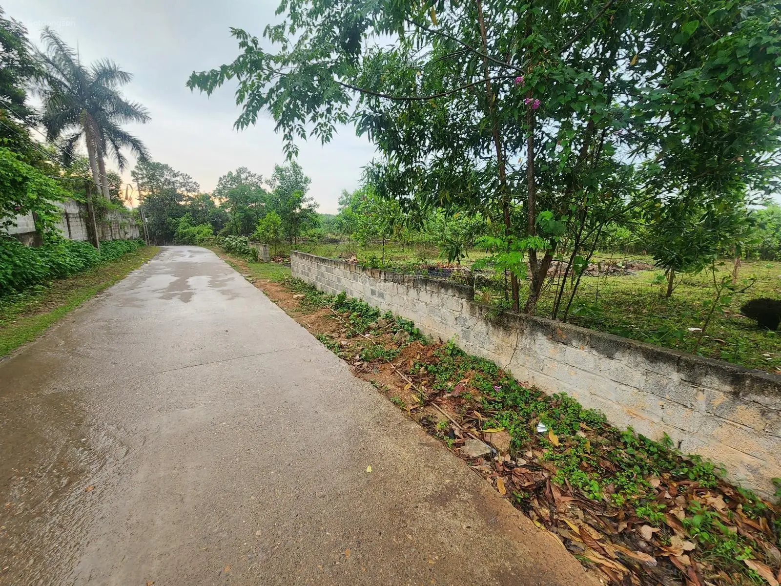 Bán trang trại view đẹp tại Phúc Hòa, Phúc Thọ, Hà Nội, 4,5 tỷ, 3600 m2