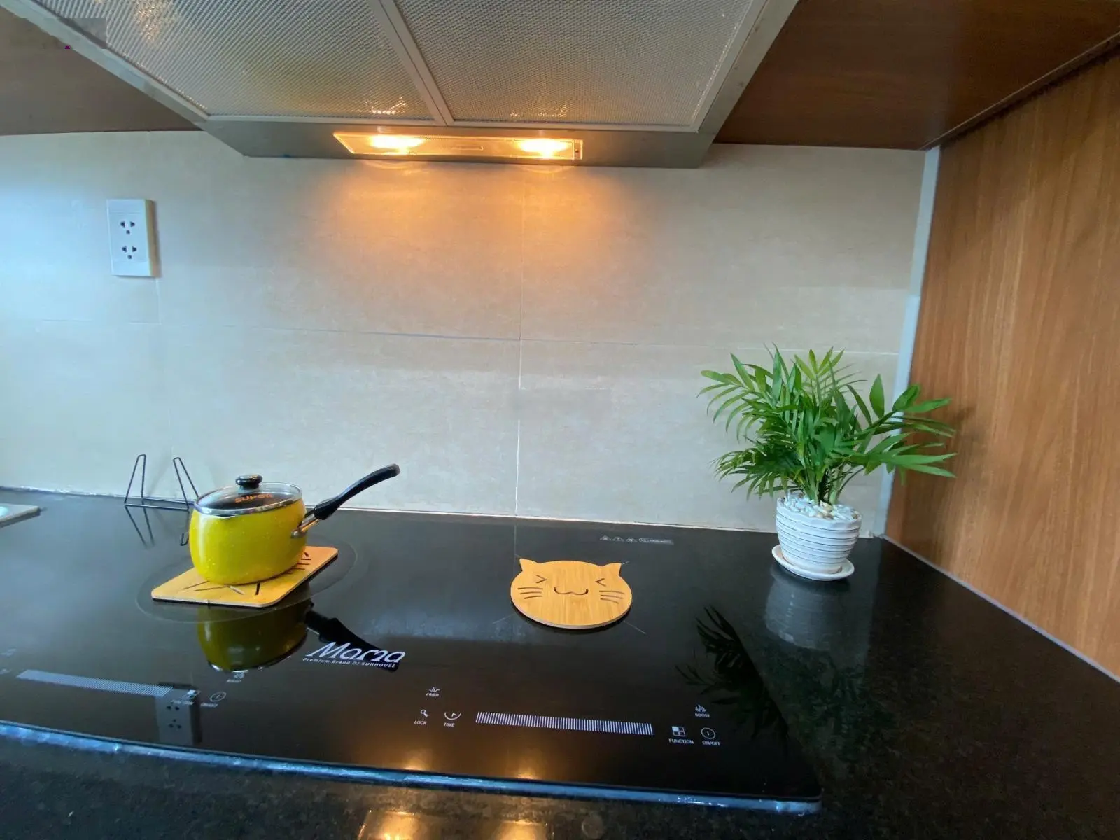 Bán gấp Tecco Home 62m2 chính chủ, 2PN, 2NVS, có sổ hồng, full nội thất, giá cả thương lượng vui vẻ
