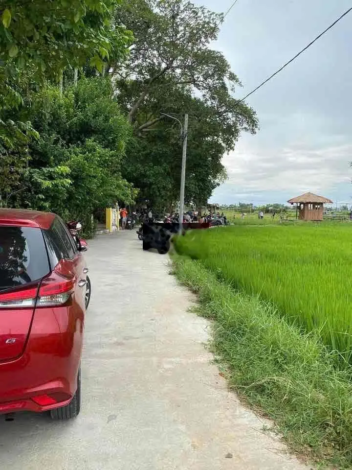 150m2 ĐẤT PHONG NAM HÒA CHÂU NỞ HẬU 7m VIEW ĐỒNG MÁT MẺ