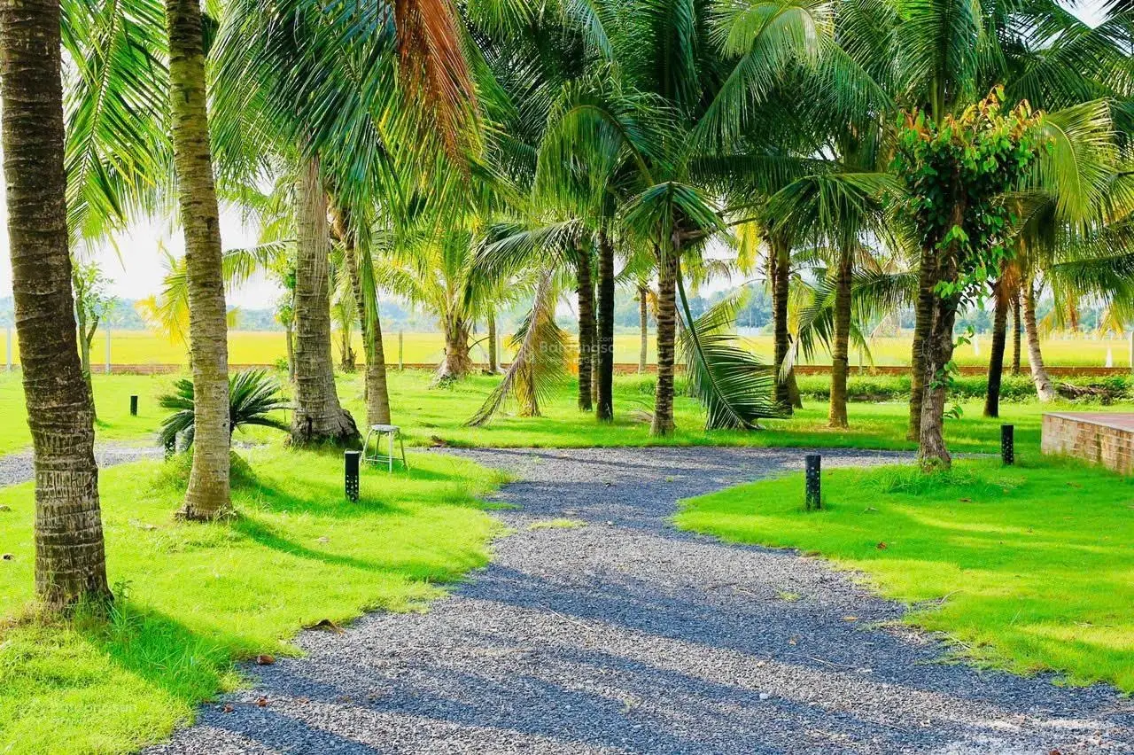 Nhà Vườn Nghỉ Dưỡng 6.000m2 gần UBND Trung Lập Hạ chỉ 1,85tr/m2