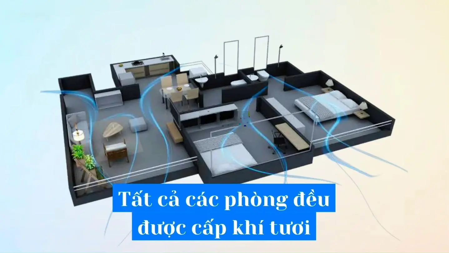 Cđt xuân lộc thọ thông báo: quỹ căn hộ - t10/2024- dự án chung cư viha leciva-107 nguyễn tuân