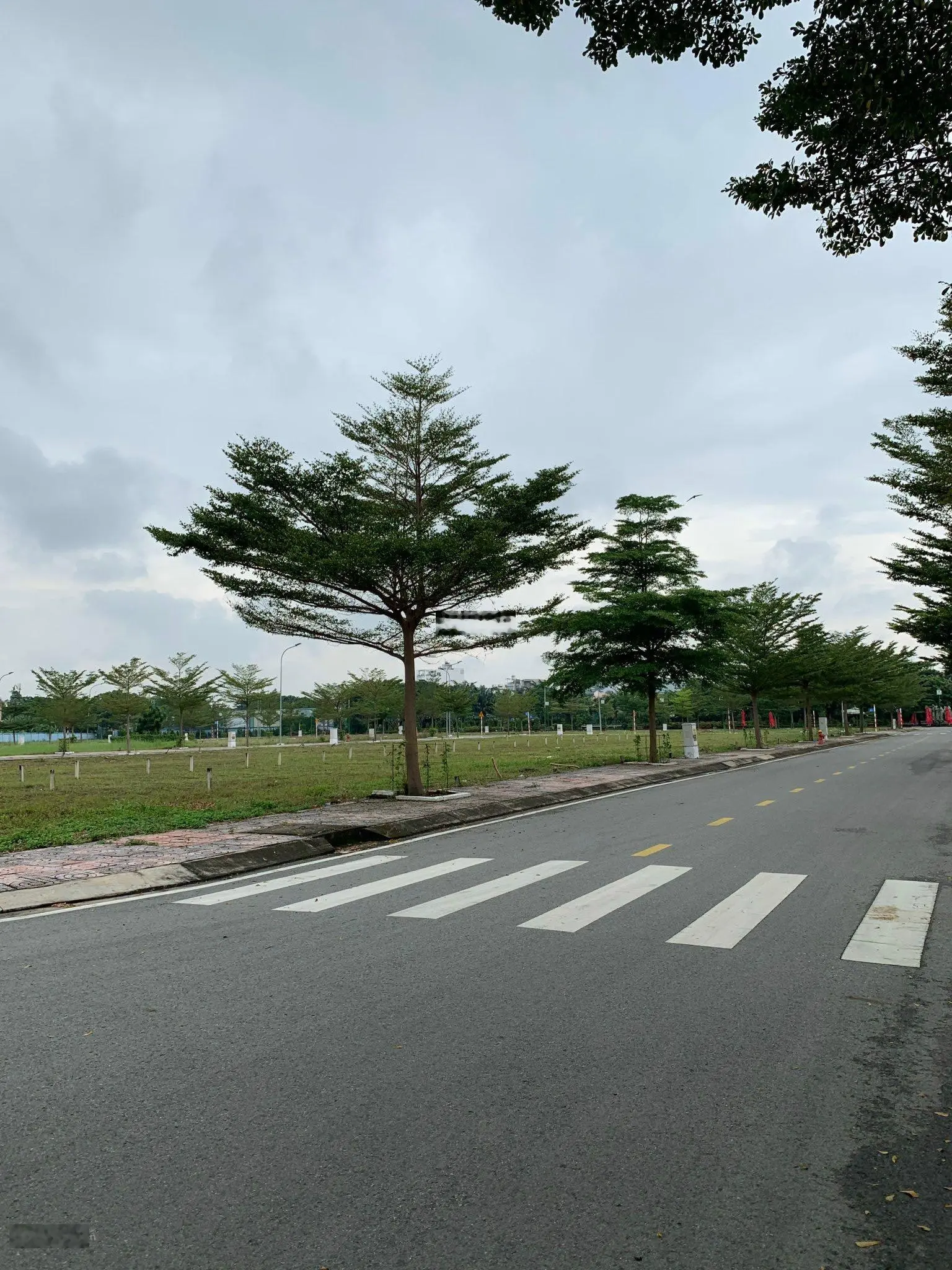 Đất ngộp 80m2 MT đường Hoàng Hữu Nam, p. Long Thạnh Mỹ Q9, SHR, dân cư đông