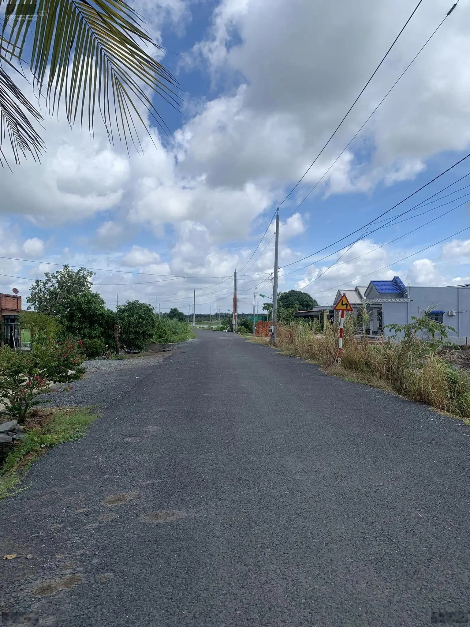 Kinh tế khó khăn tôi bán nhanh 2 mảnh vườn mãng cầu 515m2 ở trung tâm TP view Núi Bà, đường QH nhựa