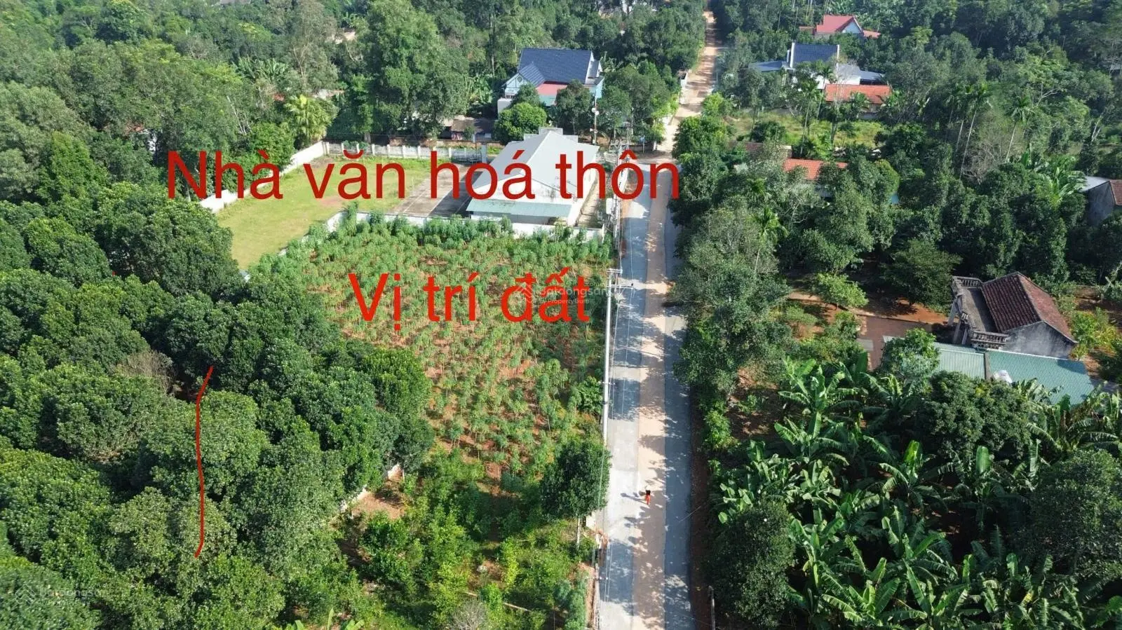 Đất giá rẻ Triệu Sơn Thanh hoá, giá 2xx