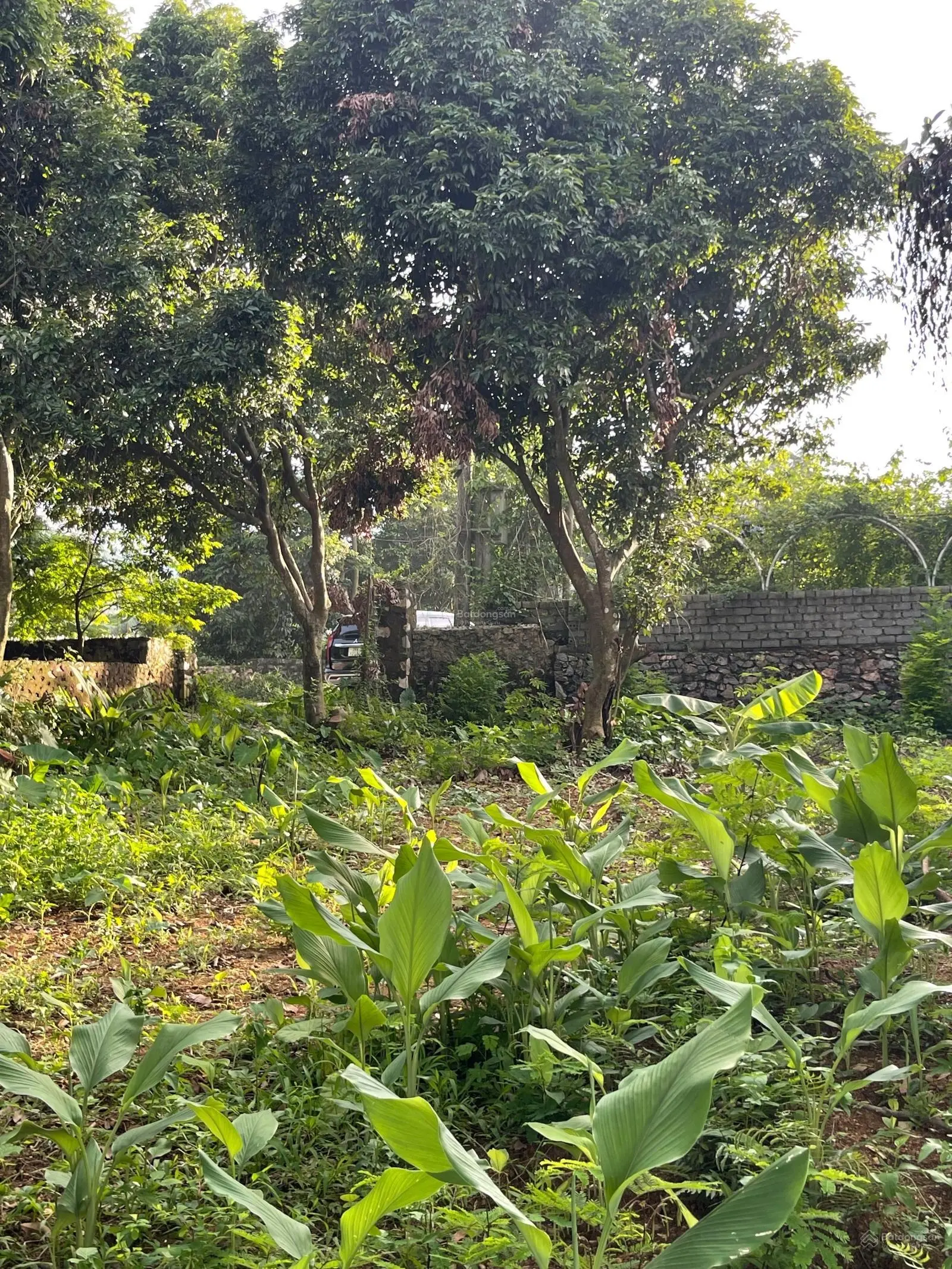 Bán 5000 m2 đất view hồ Hoà Bình