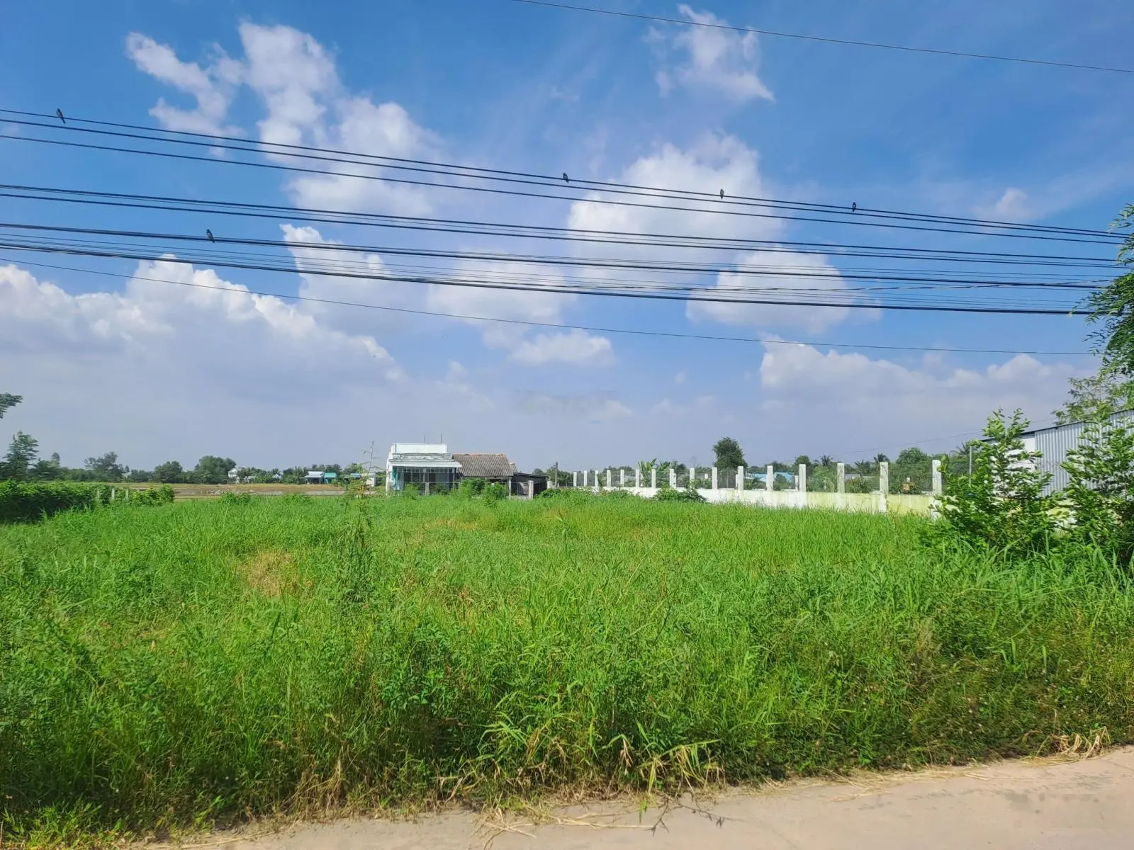 Cần bán đất thổ cư mặt tiền đường xe tải lớn chạy, khu đông dân, giá rẻ