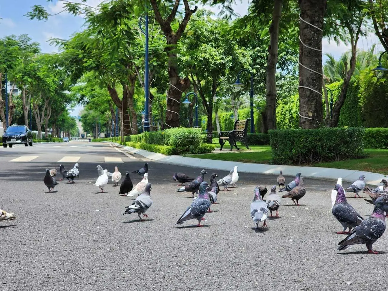 Bán nhà phố Khang Điền - KDC Verosa Park - Giá Tốt 0966 514 ***