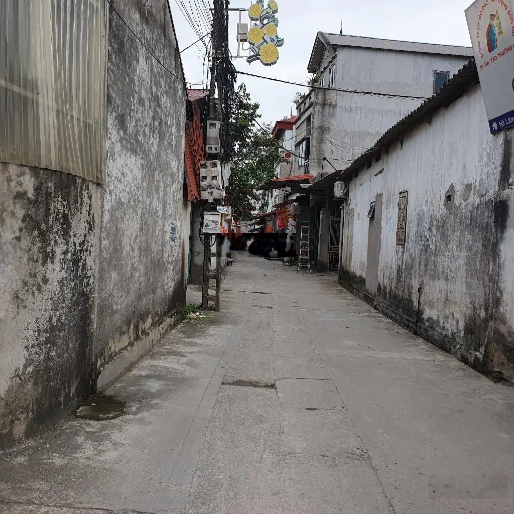 Bán 98m2 đất - Lỗ Giao - Việt Hùng - Đông Anh - ngõ ô tô thông, ô tô vào đất, kinh doanh, đầu tư