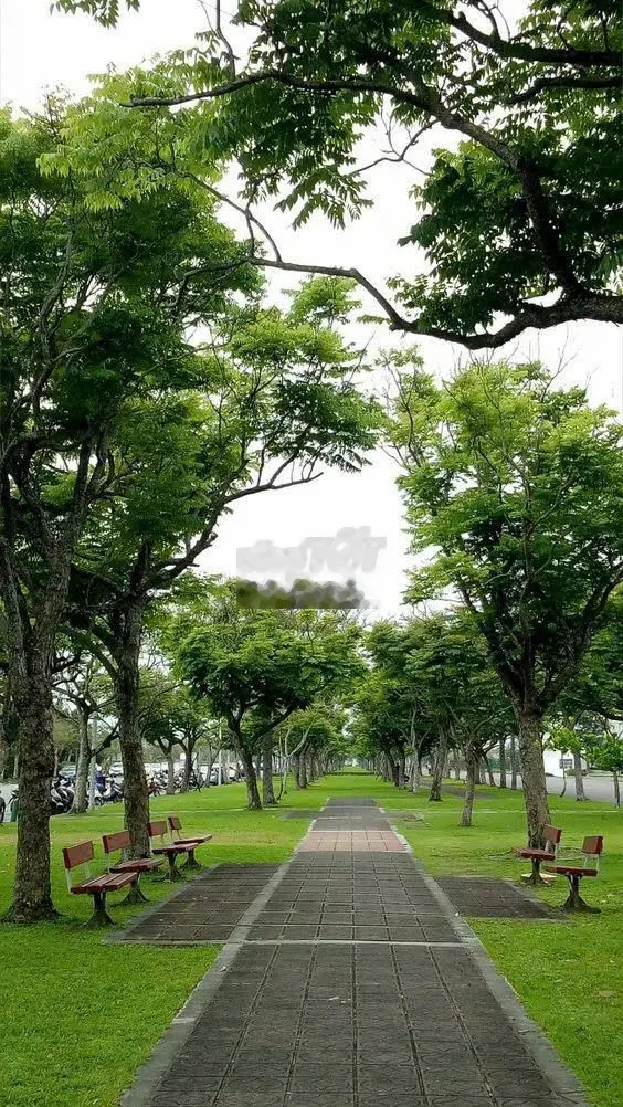Bán lô đất N40 vị trí đẹp KDC Phú Mỹ quận 7 gần Phú Mỹ Hưng 1km giá rẻ