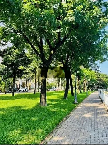 Biệt thự mới đẹp, khu VIP nhất Quận 7. 10*22, hầm +4 tầng. Thang máy.