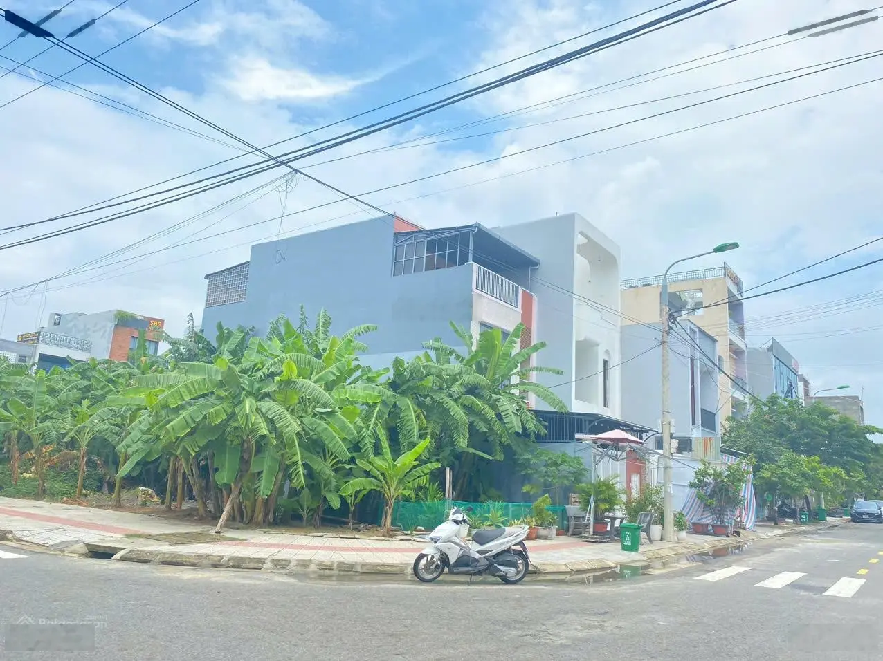 Bán góc la hối và thanh lương 9 ( đối diện công viên ) - hoà xuân .